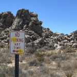 german-tourists-fired-paintballs-at-signs-in-joshua-tree-national-park-with-slingshots:-officials