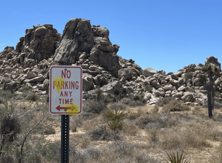 german-tourists-fired-paintballs-at-signs-in-joshua-tree-national-park-with-slingshots:-officials