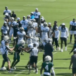 punches-thrown-as-tempers-flare-during-jets-panthers-skirmish