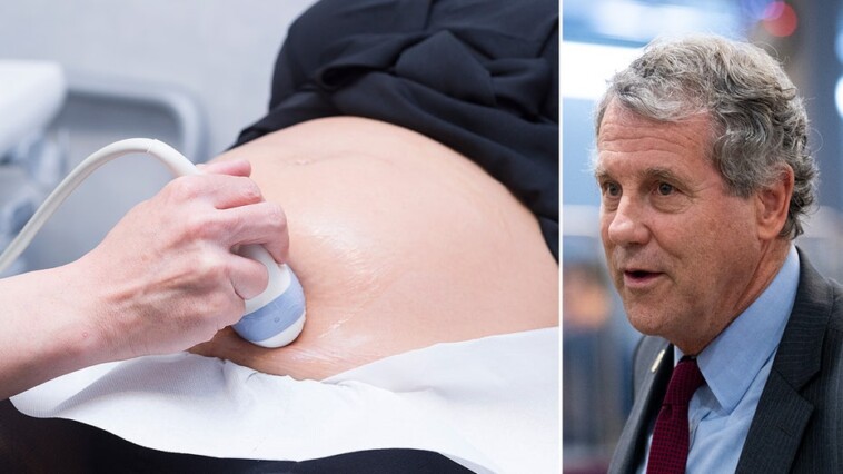 ‘pregnant-persons’:-ohio-sen-sherrod-brown-scrubbed-‘women’-from-bill-on-pregnancy