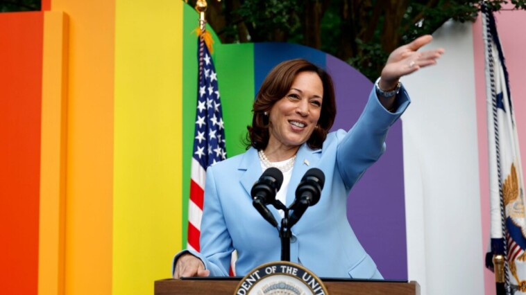 want-a-job-with-kamala?-you’ve-got-9-pronoun-choices,-including-‘hu/hu’-and-‘fae/faer’