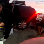 alaska-troopers-beat,-stunned-and-used-police-dog-in-violent-arrest-of-wrong-man,-charges say