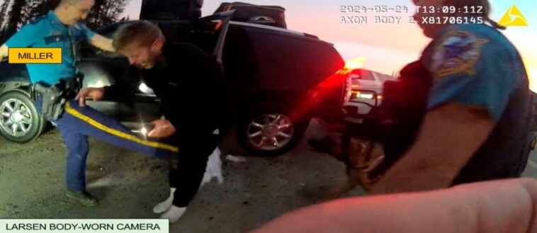 alaska-troopers-beat,-stunned-and-used-police-dog-in-violent-arrest-of-wrong-man,-charges say