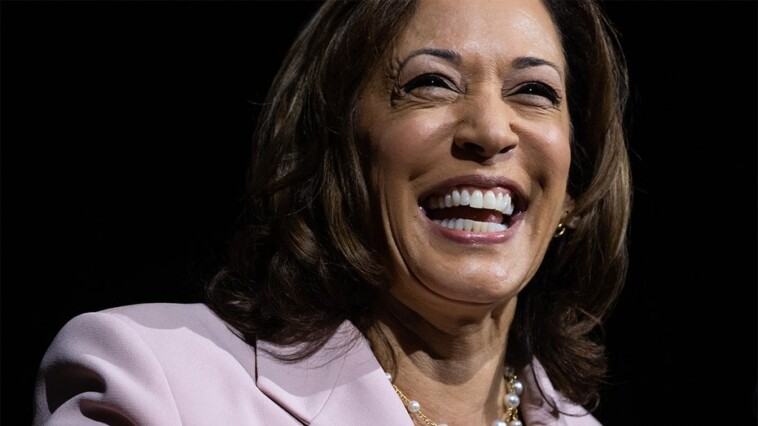 28-days:-kamala-harris-has-not-held-a-press-conference-since-emerging-as-presumptive-democratic-nominee