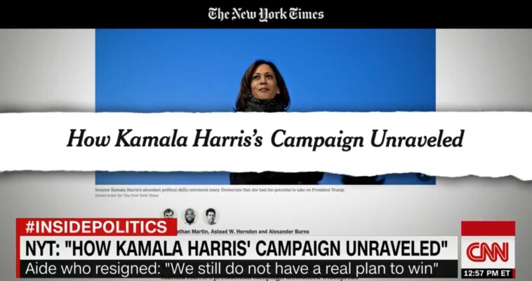 elon-musk-shares-devastating-video-‘the-unraveling-of-kamala-harris’-on-his-x-page-–-kamala-was-so-bad-she-folded-before-first-primary-contest-(video)