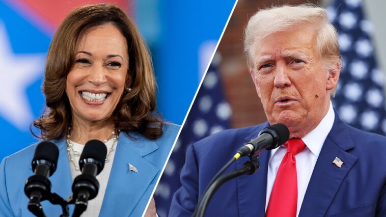 harris-re-energizes-black-voters-in-key-states,-poll-finds