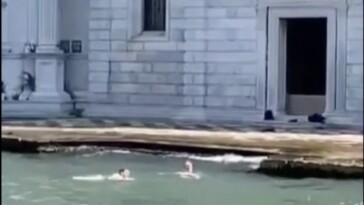 ‘shameful’-tourists-swim-at-venice-cemetery-as-tensions-with-locals-rise:-‘at-a-loss-for-words’