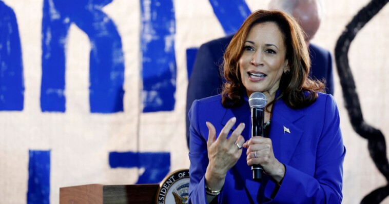 watch:-kamala-harris-can’t-answer-question-about-her-own-policy-in-shocking-moment-with-press-–-‘it-pays-for-itself’