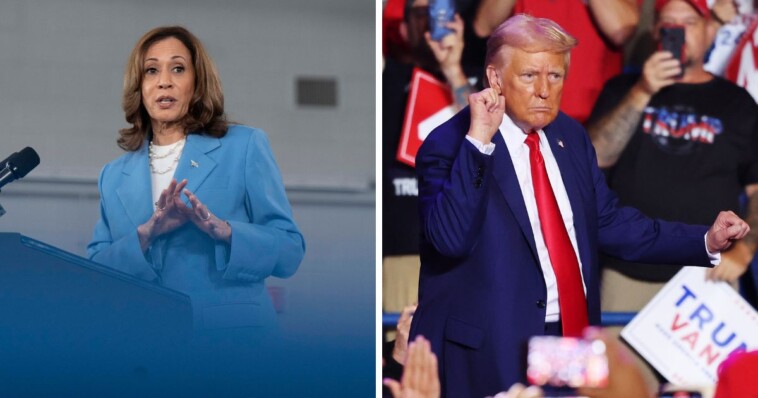 kamala-harris-to-snub-first-debate-–-trump-announces-alternate-plans