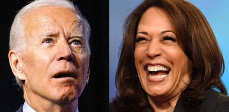 breaking:-the-big-lie:-818,000-jobs-that-joe-and-kamala-claimed-to-have-created-aren’t-actually-there!-largest-downward-revision-to-employment-in-15-years