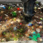 nyc-residents-rally-to-keep-goldfish-swimming-in-hydrant-puddle-through-winter-as-activists-call-it-animal-abuse