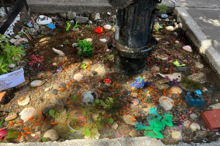 nyc-residents-rally-to-keep-goldfish-swimming-in-hydrant-puddle-through-winter-as-activists-call-it-animal-abuse