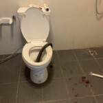 man-bitten-in-the-testicles-by-12-foot-snake-in-bathroom-worst-nightmare:-‘blood-everywhere’