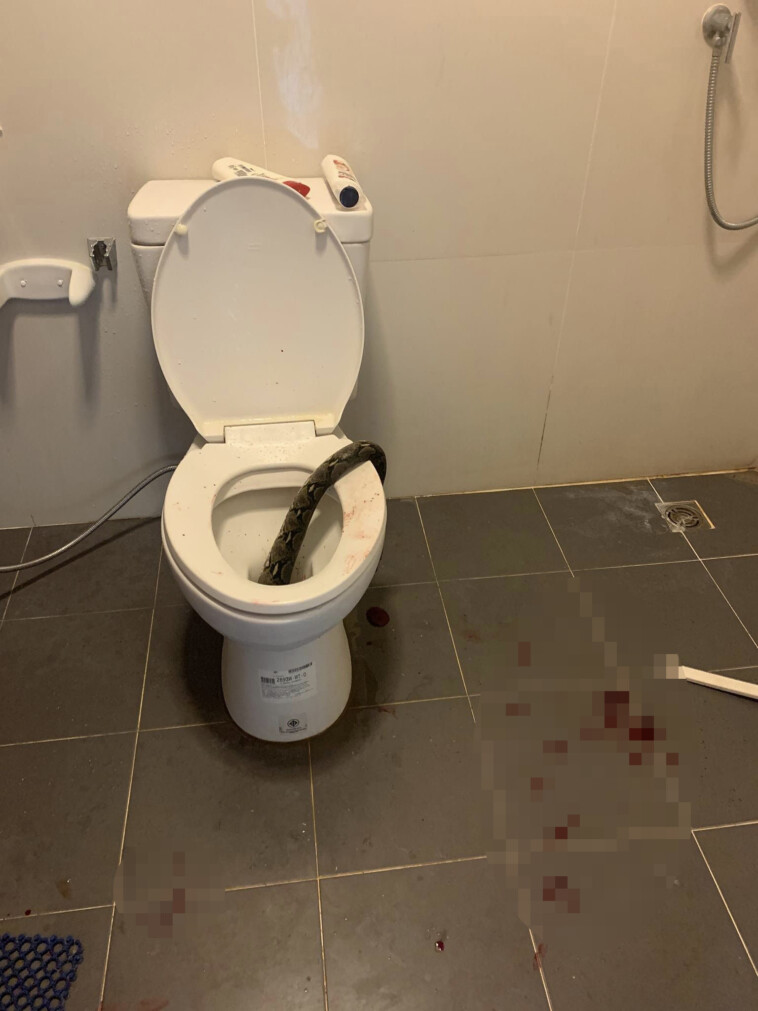 man-bitten-in-the-testicles-by-12-foot-snake-in-bathroom-worst-nightmare:-‘blood-everywhere’