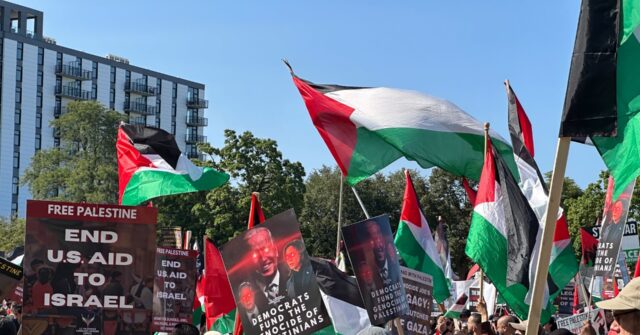 ‘uncommitted’-furious-at-dnc-for-israeli-hostage-speakers,-but-no-palestinian-voices