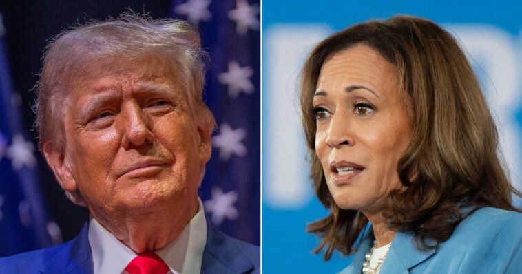 kamala-harris’-lead-vanishes,-hit-hard-by-new-polls-as-trump’s-momentum-takes-over