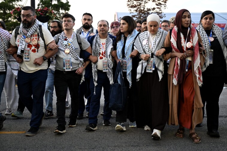 pro-palestinian-uncommitted-delegates-link-arms,-chant-‘ceasefire-now!’-ahead-of-kamala-harris-speech