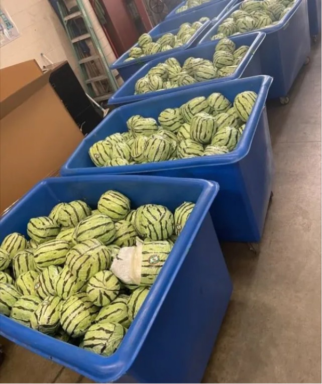 $5m-worth-of-meth-disguised-as-watermelon-shipment-seized-at-border-in-calif.:-‘seedy-situation’