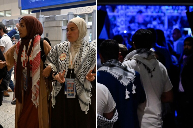 dnc-2024-live-updates:-pro-palestinian-activists-link-arms,-attempt-to-storm-convention-floor