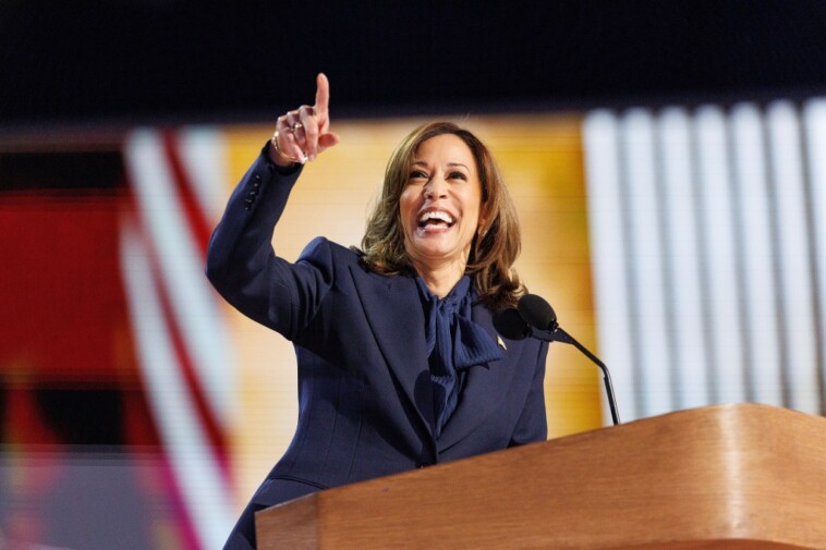 dnc-bounce-pushes-kamala-harris-ahead-of-donald-trump-in-battleground-north-carolina