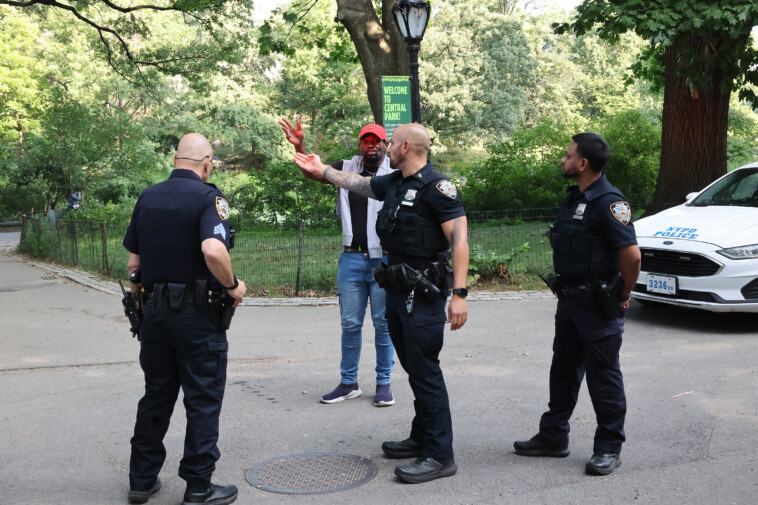 gunman-who-tried-to-rob-victim-in-central-park-returns-phone,-flees