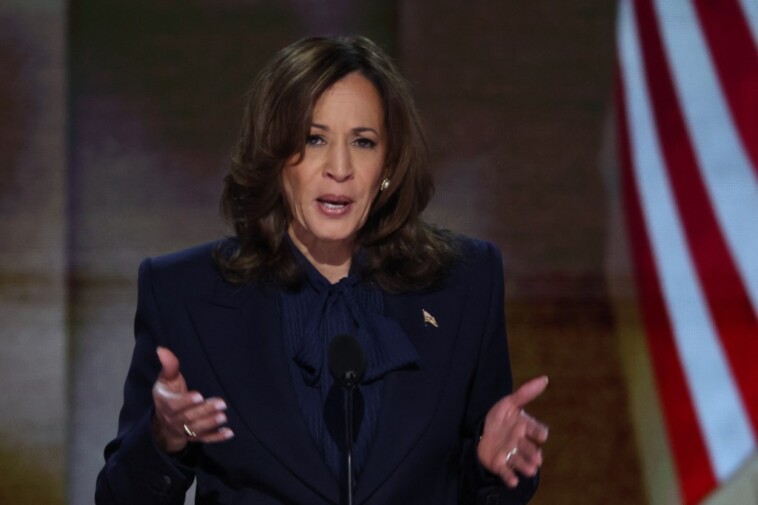 trump-supporters-rip-kamala-harris-for-showing-off-border-walls-she-claims-to-hate-in-campaign-ad