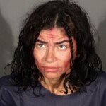 california-woman-allegedly-posed-as-‘russian-police’-before-trying-to-kidnap-child