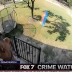 machete-wielding-thug-trying-to-break-into-texas-house-receives-an-unwelcome-surprise-when-homeowner-decides-to-exercise-his-2nd-amendment-rights-(video)