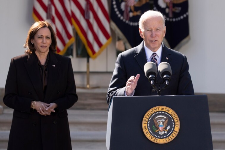 scathing-house-report-rips-‘disastrous’-biden-harris-border-policies-for-violent-migrant-robbery-that-left-chicago-man-unconscious:-‘real-world-consequences’