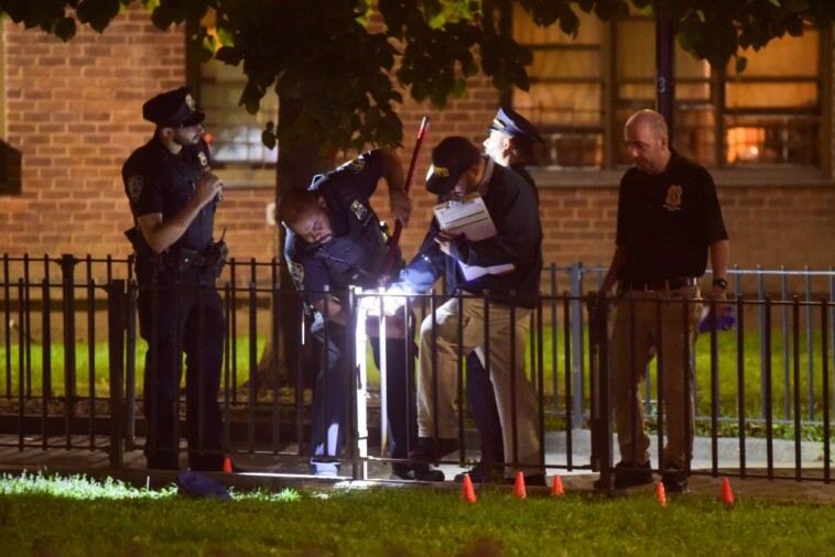 nypd-cops-fatally-shoot-suspect-who-refused-to-drop-gun-in-east-harlem:-sources