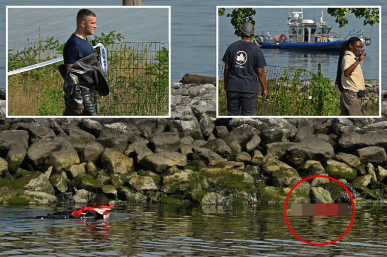 body-of-15-year-old-girl-found-floating-in-nyc-bay:-cops