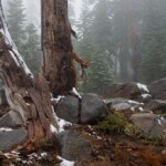 california-morphs-into-‘winter-wonderland’-after-being-hit-with-unusual-august-snowfall