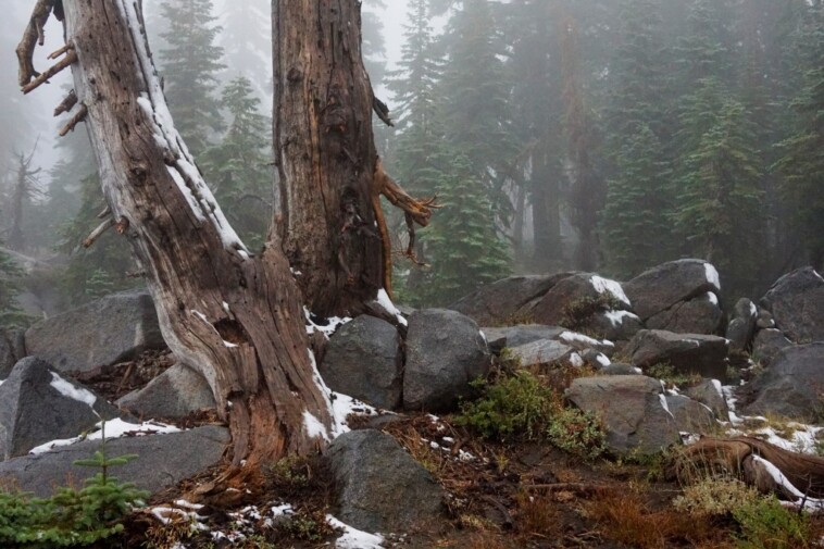 california-morphs-into-‘winter-wonderland’-after-being-hit-with-unusual-august-snowfall