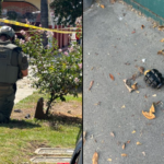 california-gardener-finds-4-russian-style-grenades-in-bushes-near-los-angeles