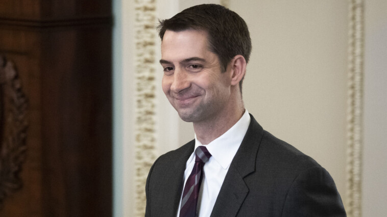 tom-cotton-scorches-abc-news’-jon-karl-over-claims-about-kamala-harris