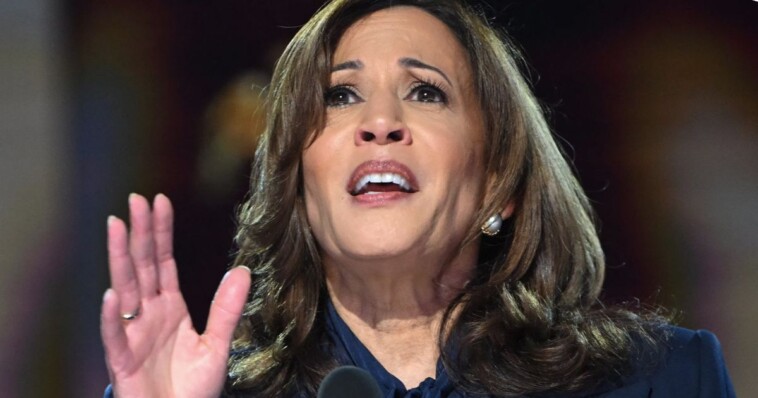 judge-deals-kamala-harris-a-swing-state-headache,-orders-leftist-candidate-to-be-included-on-ballot