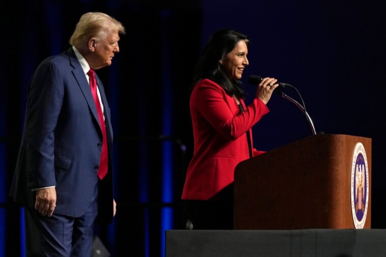 ex-dem-rep.-tulsi-gabbard-endorses-trump-in-surprise-appearance-at-michigan-event