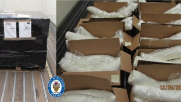 drug-gang-busted-after-smuggling-cocaine-worth-millions-in-pallets-of-raw-chicken