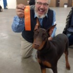 colorado-dog-breeder-killed,-10-doberman-puppies-stolen:-‘his-dogs-were-his-life’