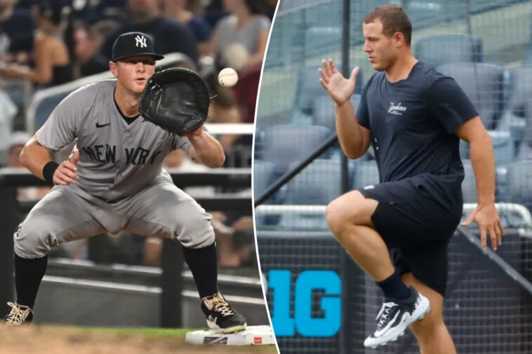 yankees’-anthony-rizzo-could-take-over-first-base-for-struggling-dj-lemahieu-imminently