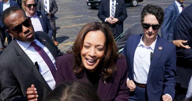 the-situation-within-kamala-harris’-‘frankenstein’-campaign-is-not-as-rosy-as-it-may-seem:-report