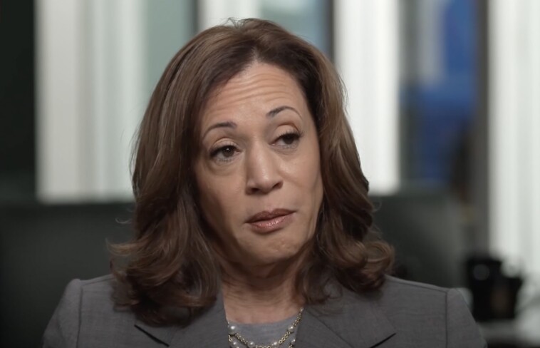 kamala-stumbles-in-cnn-interview-—-bumblehead-blurts-out-word-salad-nonsense-in-safe-zone-interview-(video)