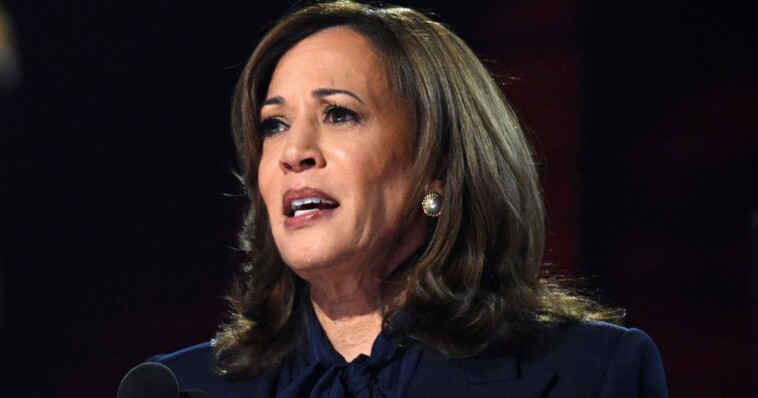 kamala-harris’-mcdonald’s-story-called-into-question-as-details-don’t-seem-to-add-up