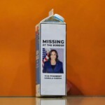 kamala-harris-leaves-taxpayers-with-a-massive-bill-as-crisis-at-the-border-gets-even-worse:-report