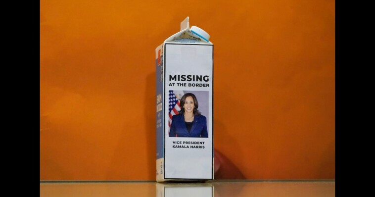 kamala-harris-leaves-taxpayers-with-a-massive-bill-as-crisis-at-the-border-gets-even-worse:-report