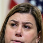 report:-michigan-democrat-elissa-slotkin-owns-30-times-fewer-acres-than-she-claimed