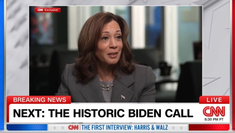 harris-has-no-regrets-defending-biden’s-fitness-for-office,-offers-‘too-much-information’-about-phone-call-with-prez-during-cnn-interview