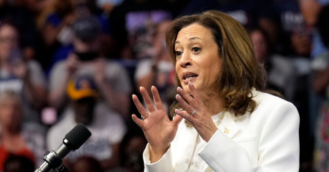 3-awkward-moments-from-kamala-harris-in-georgia