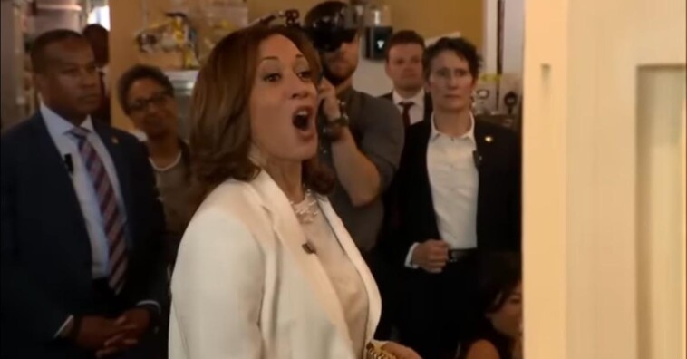 the-cringe:-kamala-harris-uses-fake-accent-during-visit-to-black-owned-cafe-in-savannah-(video)