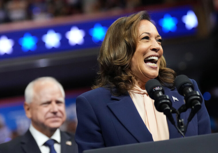 kamala-kringe:-awkward-celebrity-endorsements-for-a-make-believe-candidate